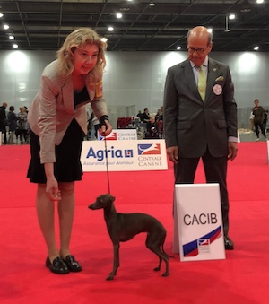 European Winner 22 - Othilia - Paris kopi